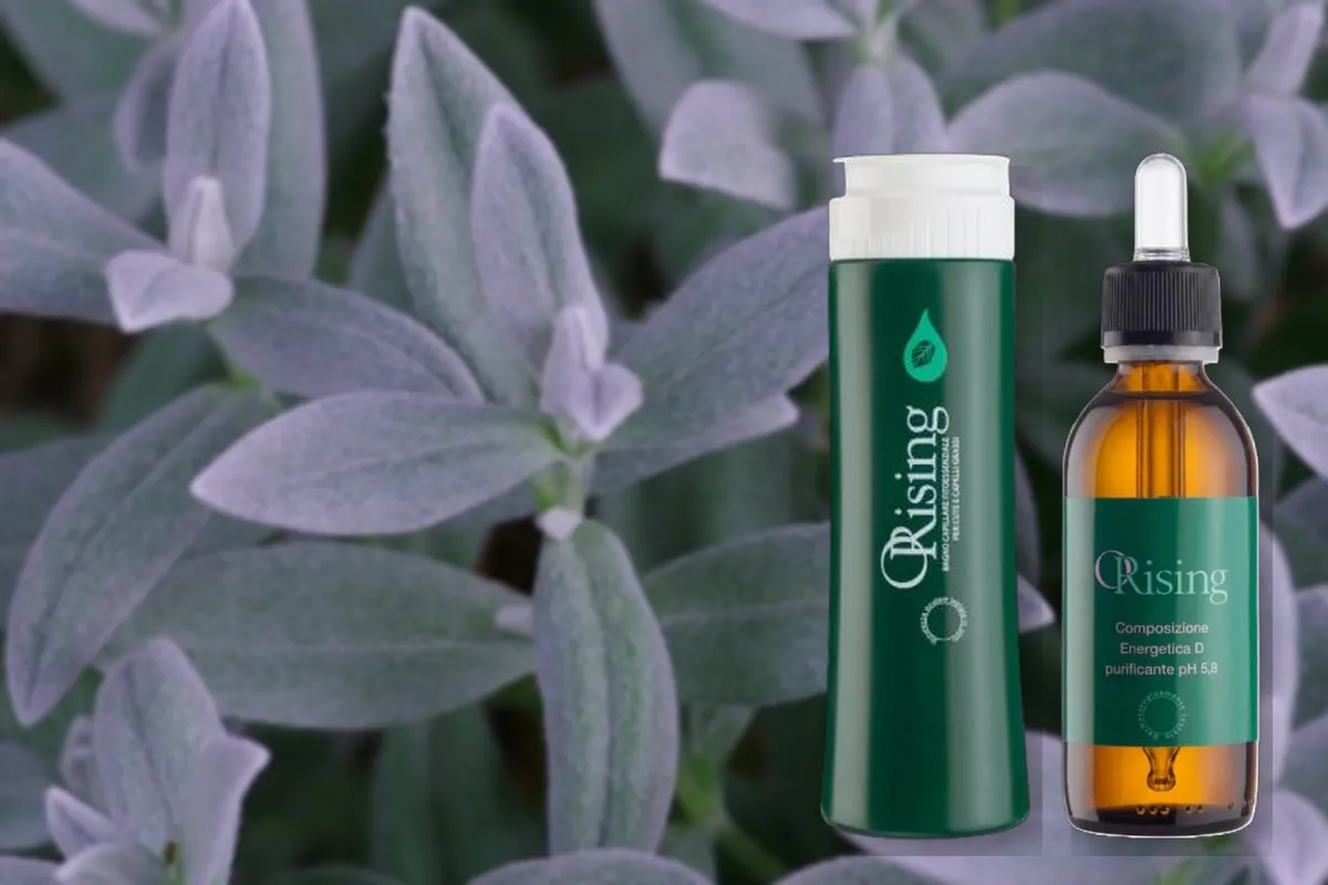 Șampon ORising pentru scalp și păr gras, pe fundal de frunze de salvie